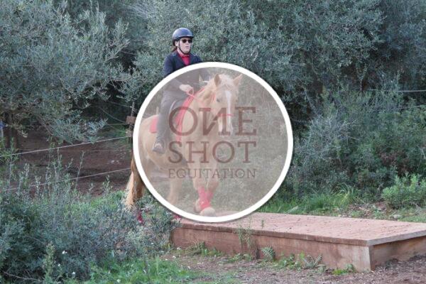 photo club elite monte et amateur elite monte