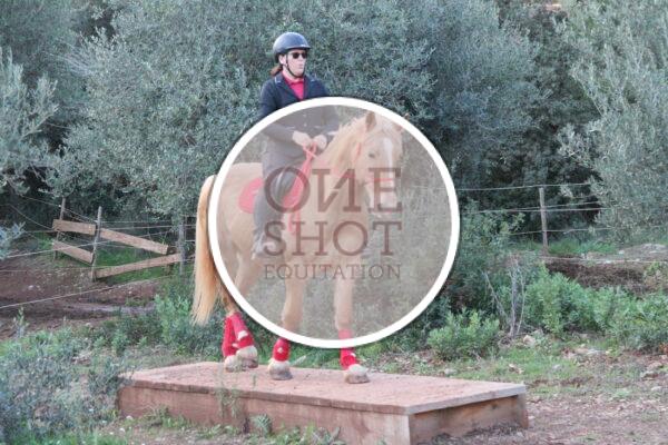 photo club elite monte et amateur elite monte
