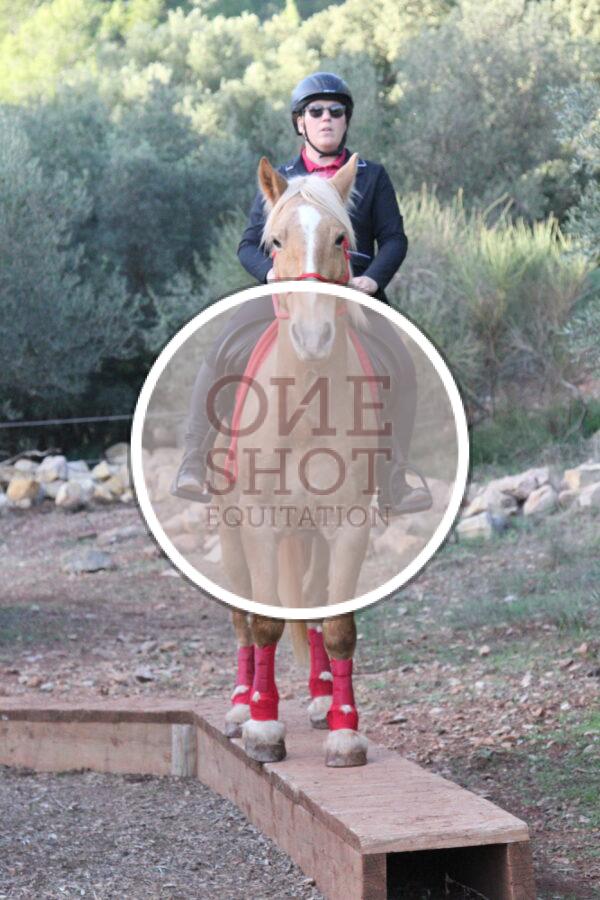 photo club elite monte et amateur elite monte
