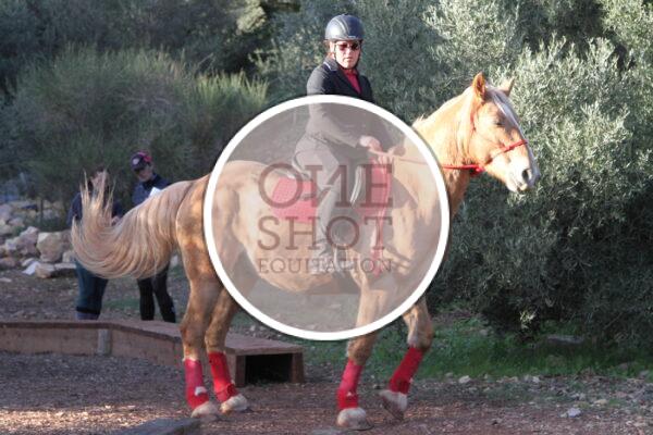 photo club elite monte et amateur elite monte