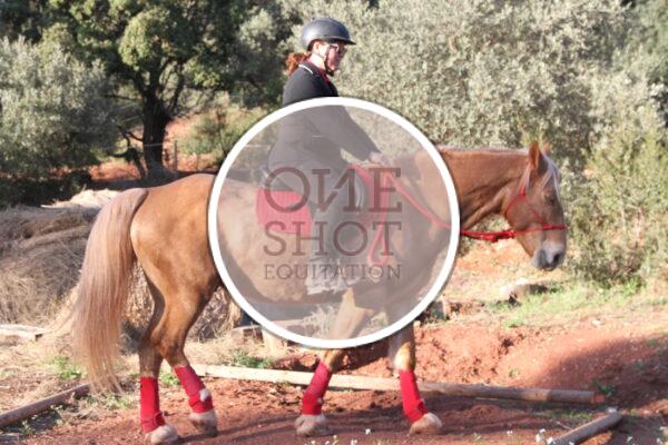 photo club elite monte et amateur elite monte