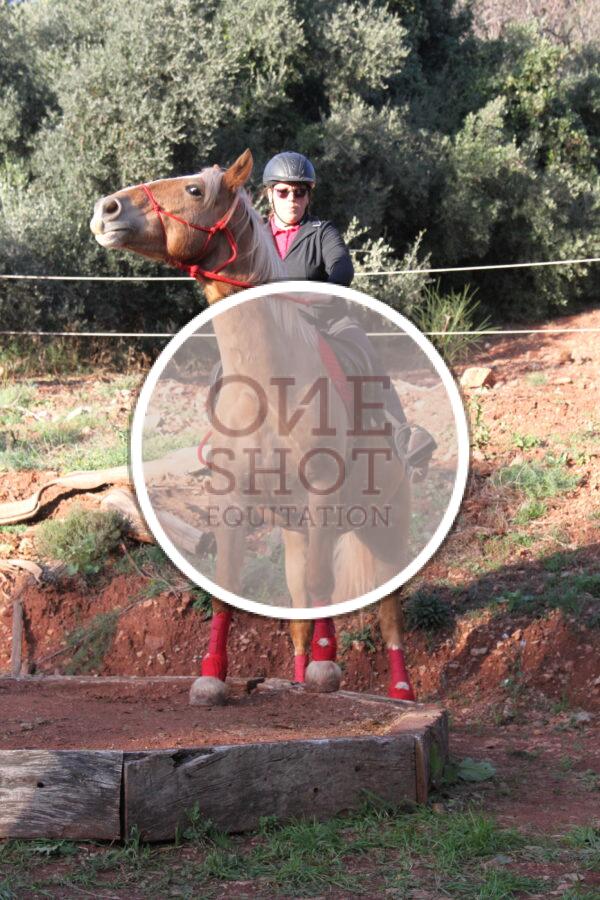 photo club elite monte et amateur elite monte