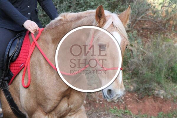 photo club elite monte et amateur elite monte