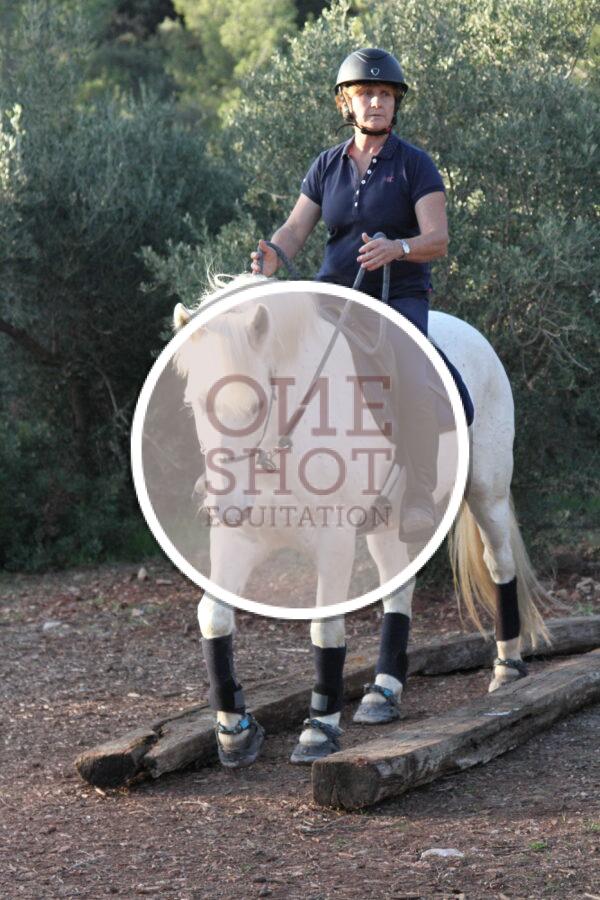 photo club elite monte et amateur elite monte