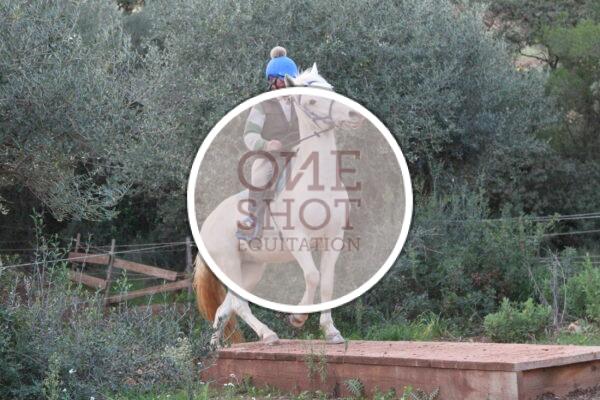 photo club elite monte et amateur elite monte