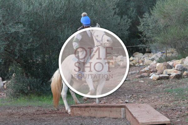 photo club elite monte et amateur elite monte