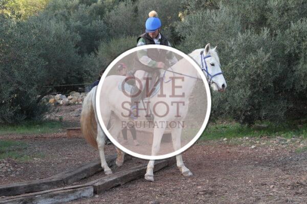 photo club elite monte et amateur elite monte