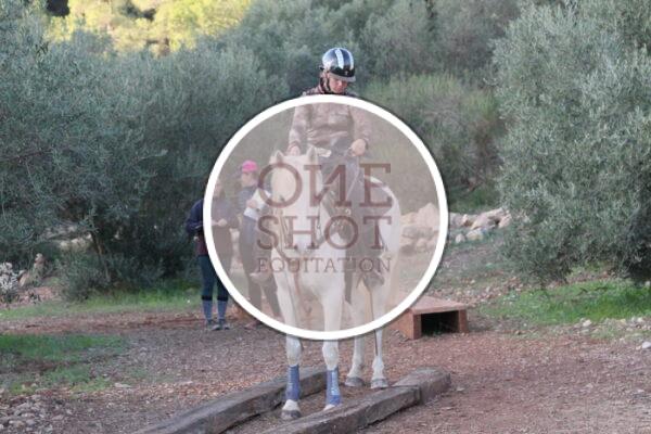 photo club elite monte et amateur elite monte
