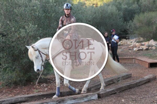 photo club elite monte et amateur elite monte