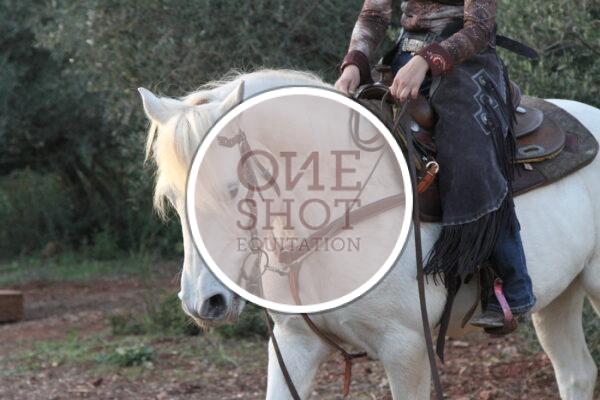 photo club elite monte et amateur elite monte