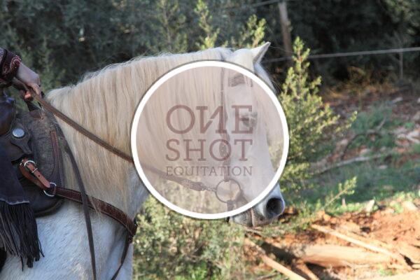 photo club elite monte et amateur elite monte