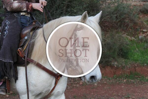 photo club elite monte et amateur elite monte