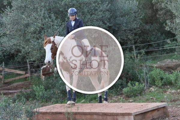photo club elite monte et amateur elite monte