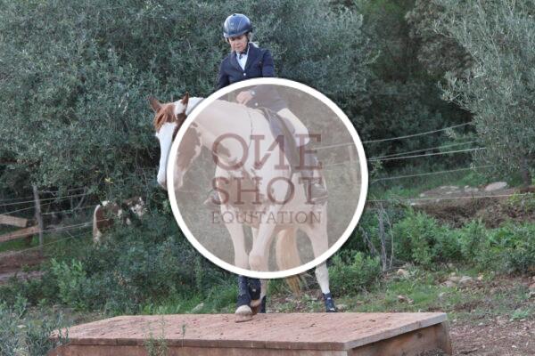 photo club elite monte et amateur elite monte