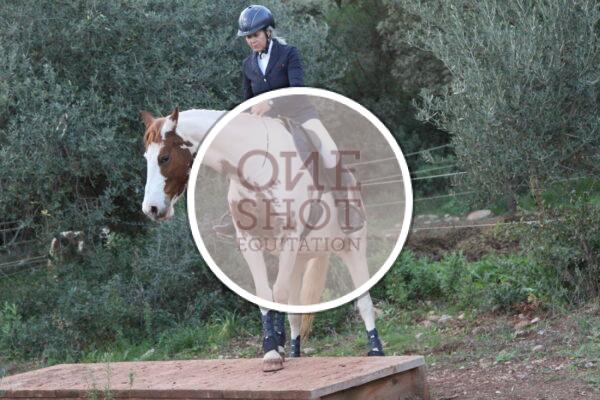 photo club elite monte et amateur elite monte
