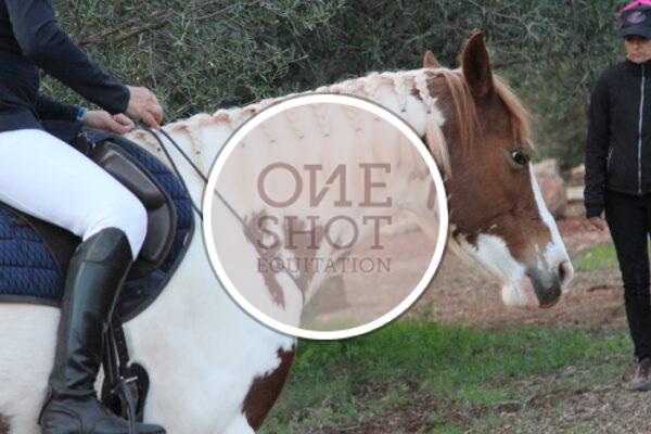 photo club elite monte et amateur elite monte