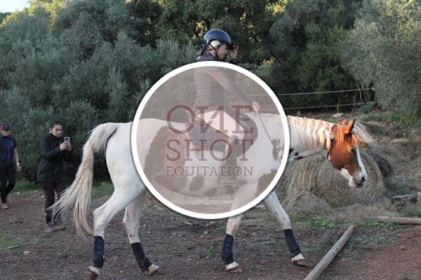 photo club elite monte et amateur elite monte