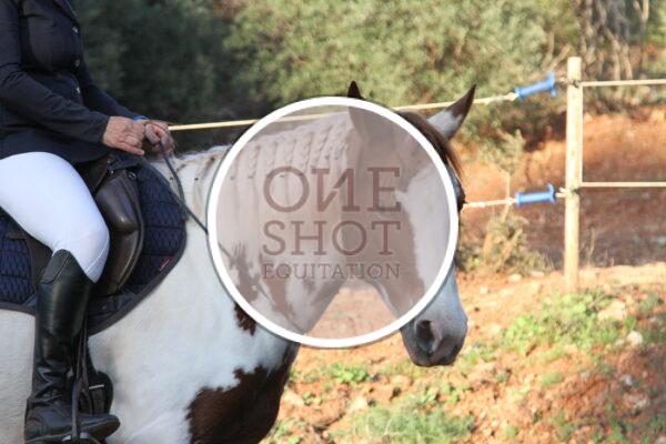 photo club elite monte et amateur elite monte