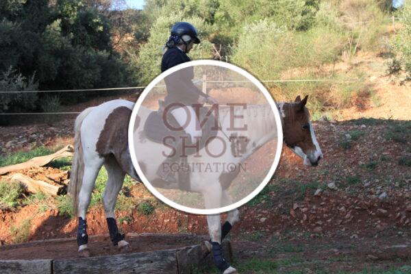 photo club elite monte et amateur elite monte