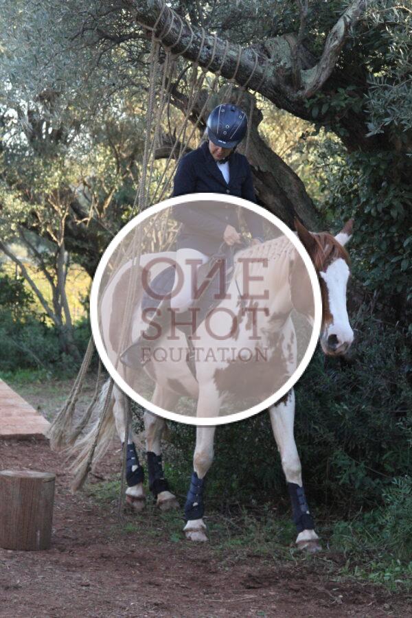 photo club elite monte et amateur elite monte