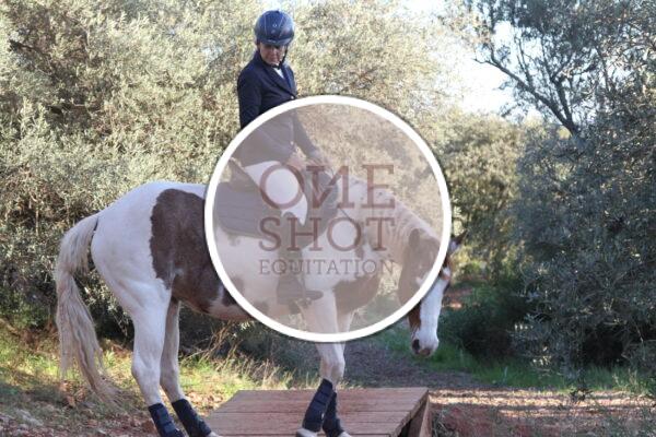 photo club elite monte et amateur elite monte